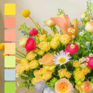 Colour Palettes (Create Your Own)