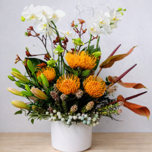 Modern Orchids and Flowers