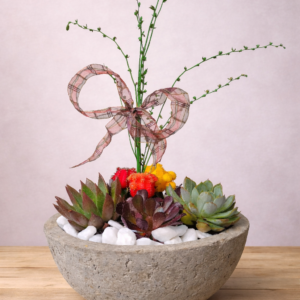 Modern Succulent Arrangement