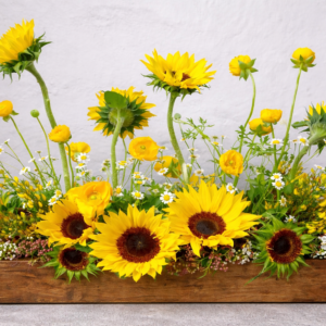 Whimsical Sunflower Box